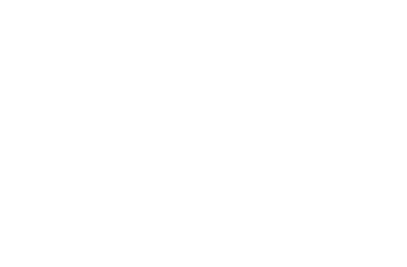 Callcabinet logo lockup white